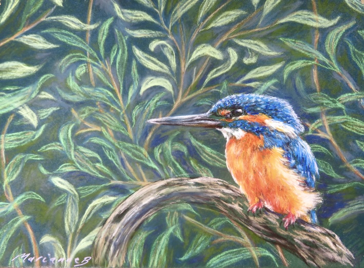 Kingfisher with a William Morris&nbsp;vibe