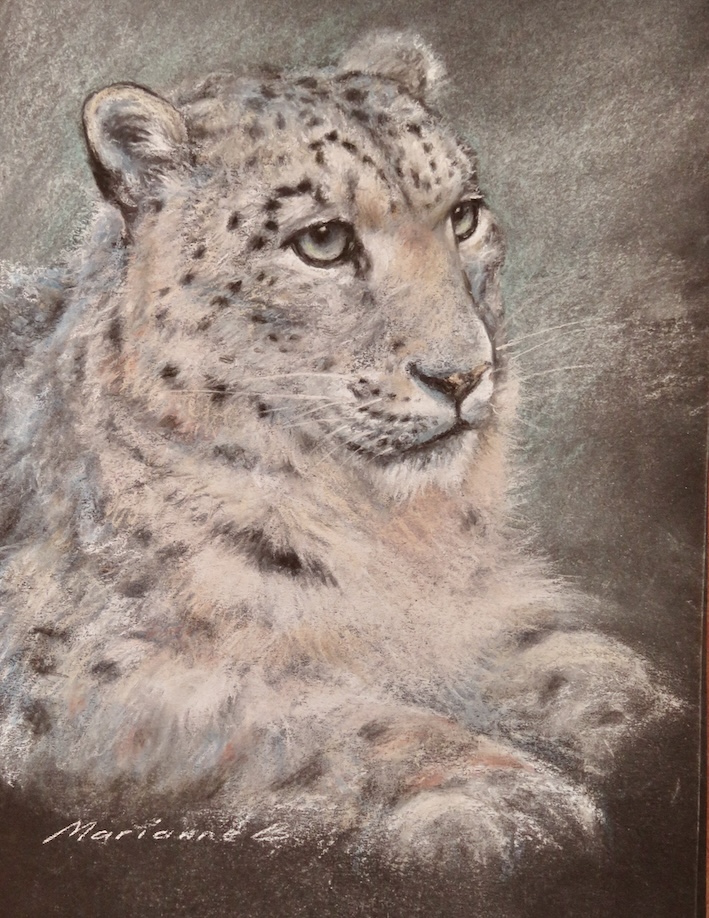 Remembering Tara and&nbsp;Pavan