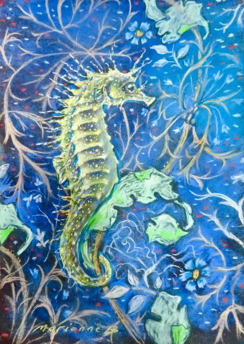 Spiny Seahorse
