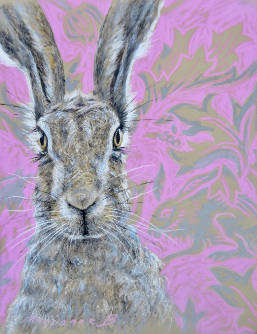 Brother Rabbit, Brother&nbsp;Hare