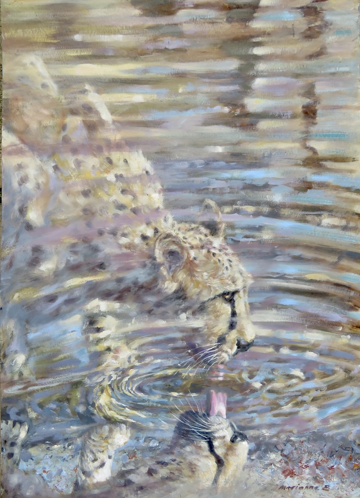 Kalahari Cheetah