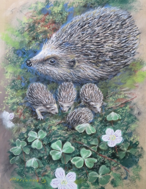 Mrs Tiggywinkle